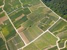 Photos aériennes de "parc" - Photo réf. E146434 - Le vignoble du sud de la Montagne de Reims dans le Parc Naturel Régional de la Montagne de Reims