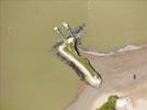 Photos aériennes de "pêche" - Photo réf. E147760