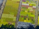Photos aériennes de "horticulture" - Photo réf. E152100