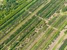 Photos aériennes de "horticulture" - Photo réf. E152102