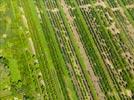 Photos aériennes de "horticulture" - Photo réf. E152103