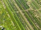 Photos aériennes de "horticulture" - Photo réf. E152104