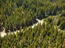 Photos aériennes de "forêt" - Photo réf. E152391