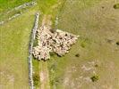 Photos aériennes de "mouton" - Photo réf. E152435