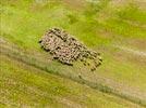 Photos aériennes de "mouton" - Photo réf. E152438