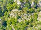 Photos aériennes de "gorges" - Photo réf. E152455 - Un vautour fauve dans les Gorges de la Jonte