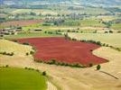 Photos aériennes de "rouges" - Photo réf. E152511