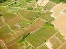 Photos aériennes de "vigne" - Photo réf. E152605