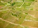 Photos aériennes de "vin" - Photo réf. E152606