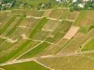 Photos aériennes de "vin" - Photo réf. E152632