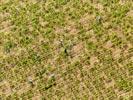 Photos aériennes de "cotes" - Photo réf. E152672 - Entretien de la vigne