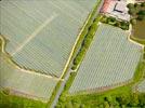 Photos aériennes de "culture" - Photo réf. E152800 - Filets anti-grêle pour protéger les vergers