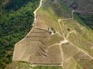 Photos aériennes de "viticulture" - Photo réf. E153400 - Culture de la vigne en terrasses