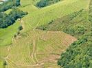 Photos aériennes de "vignes" - Photo réf. E153802 - Le Vignoble d'Irouléguy, réputé