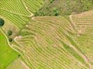 Photos aériennes de Saint-Étienne-de-Baïgorry (64430) - Autre vue | Pyrénées-Atlantiques, Aquitaine, France - Photo réf. E153803 - Le Vignoble d'Iroulguy, rput