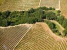 Photos aériennes de "viticulture" - Photo réf. E153856