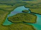 Photos aériennes de Les Abymes (97139) | Guadeloupe, Guadeloupe, France - Photo réf. U125332 - La Mangrove 