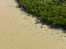 Photos aériennes de Macouria (97355) | Guyane, Guyane, France - Photo réf. U154252 - Le littoral Guyanais et sa mangrove