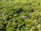 Photos aériennes de Kourou (97310) - Autre vue | Guyane, Guyane, France - Photo réf. U154305 - La vgtation quatoriale