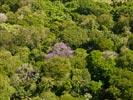 Photos aériennes de Kourou (97310) - Autre vue | Guyane, Guyane, France - Photo réf. U154306 - La vgtation quatoriale