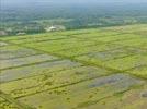 Photos aériennes de Mana (97360) | Guyane, Guyane, France - Photo réf. U154339 - Les rizires de Mana