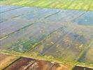 Photos aériennes de Mana (97360) - Autre vue | Guyane, Guyane, France - Photo réf. U154341 - Les rizires de Mana