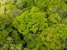 Photos aériennes de "forêt" - Photo réf. U154487