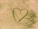 Photos aériennes de "champs" - Photo réf. E150877 - Un coeur au milieu d'un champs