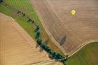 Photos aériennes de "montgolfières" - Photo réf. C157941 - Lorraine Mondial Air Ballons 2015 : Vol du Dimanche 26 Juillet le matin lors du Record Mondial de Dcollage en Ligne. (The Great Line, In-line Mass Ascent)