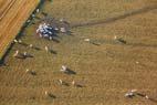 Photos aériennes de "vaches" - Photo réf. C164851