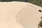 Photos aériennes de La Teste-de-Buch (33260) - La Dune du Pyla | Gironde, Aquitaine, France - Photo réf. C164717 - La Dune du Pilat